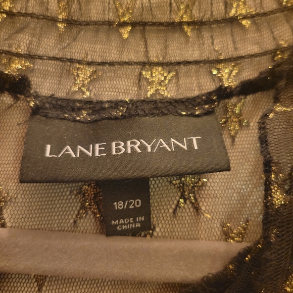 Sheer pullover top. Lane Bryant size 18/20 - Picture 4 of 4